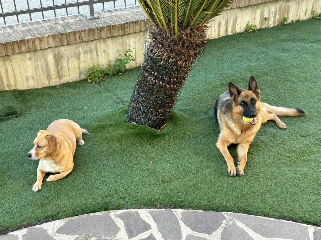 India & Holly